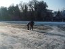 Sneeuw-016-Medium-.jpg